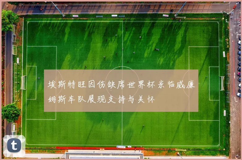 埃斯特旺因伤缺席世界杯亲临威廉姆斯车队展现支持与关怀