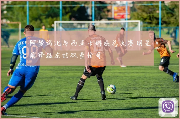 阿努诺比与西亚卡姆成总决赛明星前锋猛龙的双重传奇